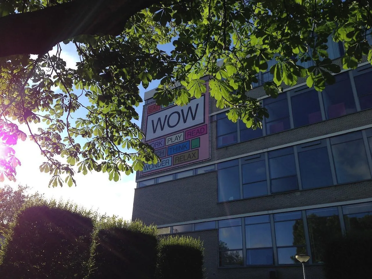 Wow Amsterdam Hostel